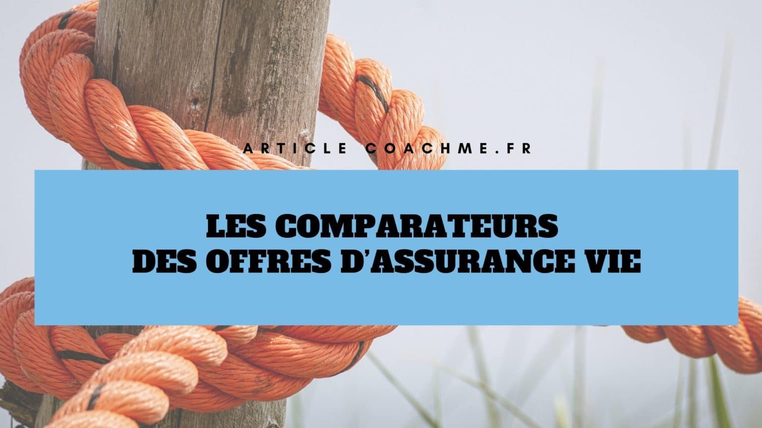 Top 5 Des Comparateurs Des Offres D'assurance Vie