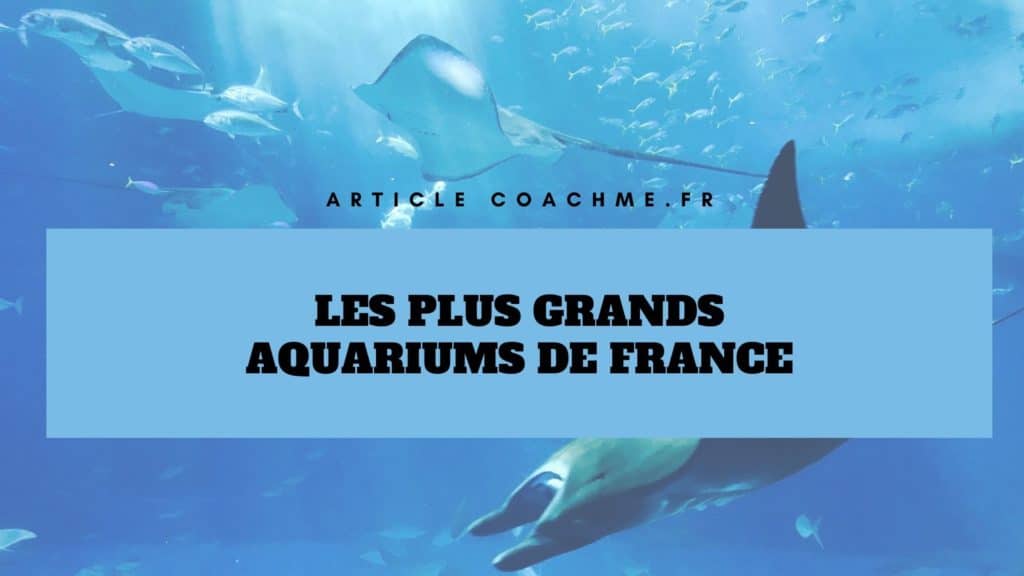 Top 7 des plus grands Aquariums de France (en surface)