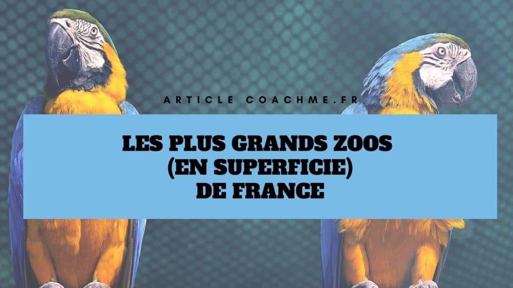 Top 9 des plus grands Zoos de France (en superficie)