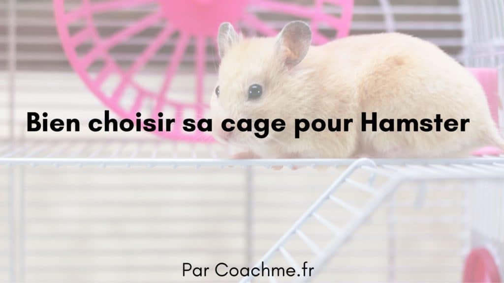 Les 9 critères pour choisir sa cage pour hamster