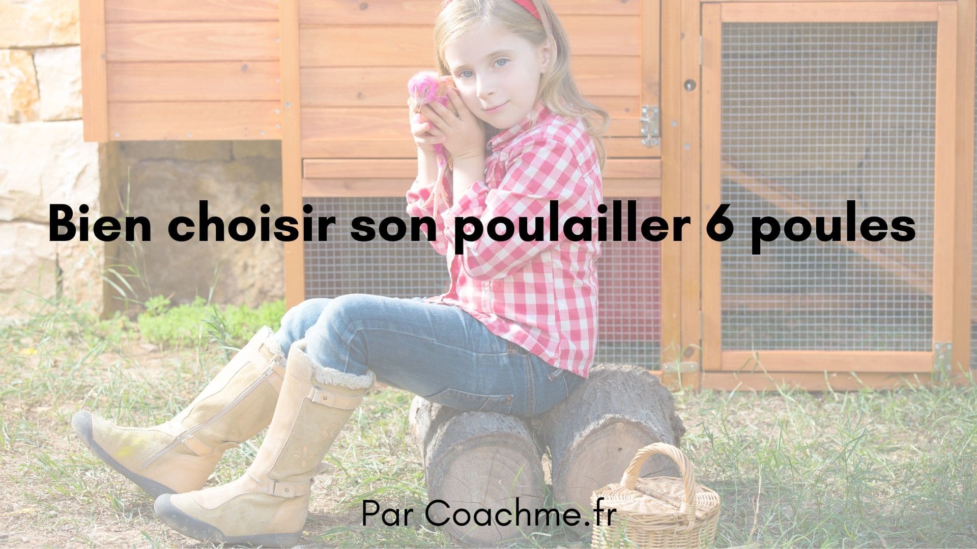 Comment bien choisir son poulailler 6 poules