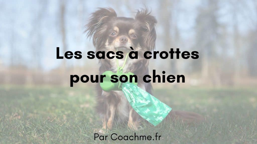 7 critères pour choisir son sac à crottes