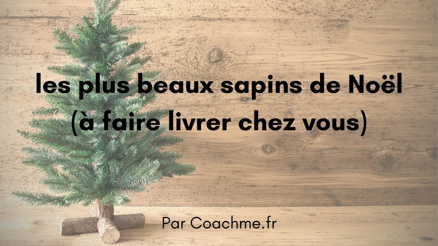 Top 9 des plus beaux sapins de Noël (à se faire livrer)