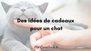 idées cadeaux chat