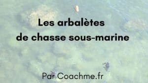 arbalete chasse sous marine